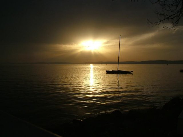 DSCF3288 (Medium)